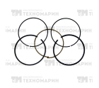 Поршневые кольца WSM BRP 600/900 ACE (номинал) 010-964