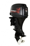 Купить Golfstream Подвесной лодочный мотор Golfstream T75FEL-T