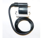 Катушка зажигания BRP 951 004-172 WSM