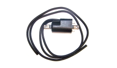 Катушка зажигания SPI BRP 717/787/951 004-176