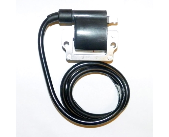 Катушка зажигания BRP 951 004-172 WSM