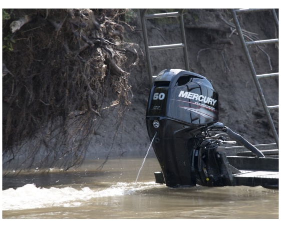 Подвесной лодочный мотор Mercury (Меркури) F60 ELPT EFI