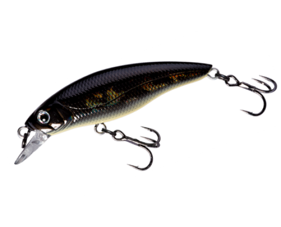Воблер FISHYCAT STRAYCAT 55F / R13