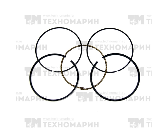 Поршневые кольца WSM BRP 600/900 ACE (номинал) 010-964