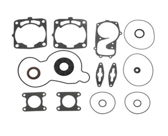 Полный комплект прокладок Polaris 700 09-711300 SPI