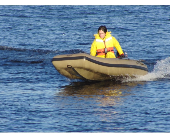 Надувная лодка Badger EXCEL LINE EXL 320