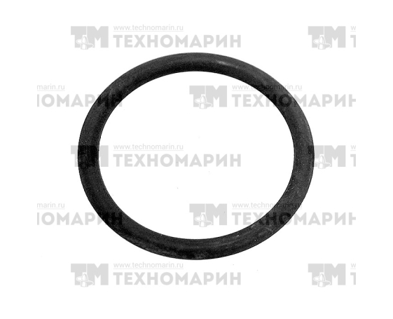 Уплотнительное кольцо крышки головки цилиндров РМЗ-551 (внутреннее) RM-017618 Русская Механика
