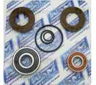 Ремкомплект водомета WSM Kawasaki 750/900 003-608