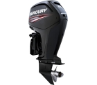 Подвесной лодочный мотор Mercury (Меркури) F100 ELPT EFI CT