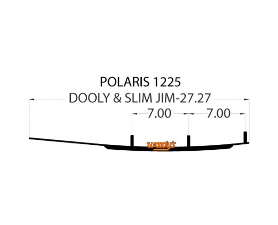 Коньки WOODYS Dooly для лыж Polaris (DP4-1225)