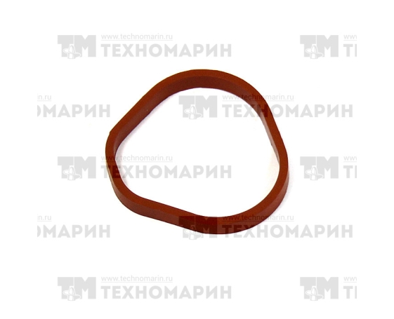 Прокладка впускного коллектора WSM 1503 BRP 007-573-05