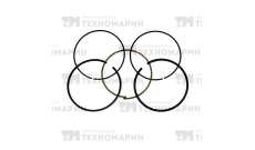 Поршневые кольца WSM BRP 600/900 ACE (номинал) 010-964