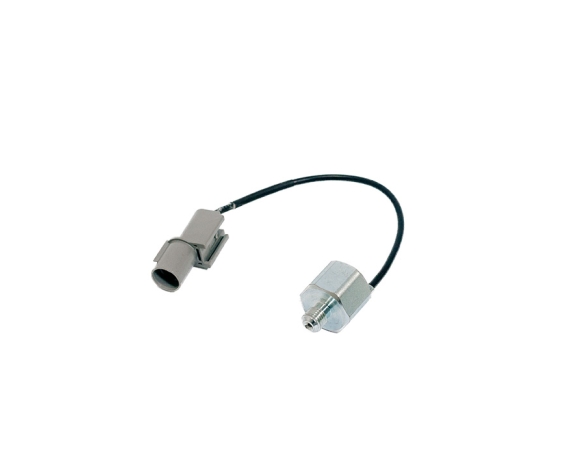 Датчик температуры воздуха BRP SM-01258 SPI