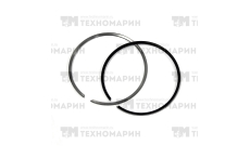Поршневые кольца WSM BRP 951 (+0.25мм) 010-919-04