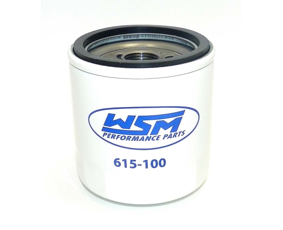Масляный фильтр Yamaha 615-100 WSM