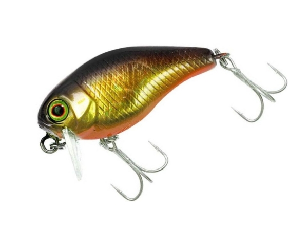 Воблер JACKALL Chubby 38 SSR цвет hl gold & black