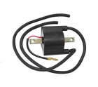 Катушка зажигания SPI Yamaha VK 540  01-143-51