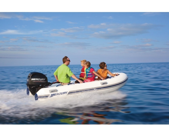 Подвесной лодочный мотор Mercury (Меркури) F25 EL EFI