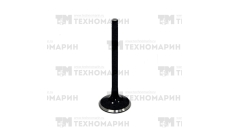 Выпускной клапан WSM BRP 1503 010-010P