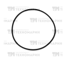 Кольцо уплотнительное WSM BRP 008-599-15