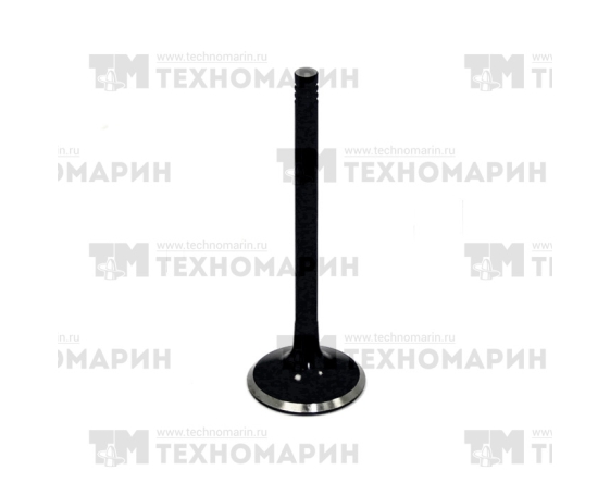 Выпускной клапан WSM BRP 1503 010-010P