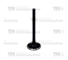 Выпускной клапан WSM BRP 1503 010-010P