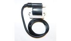 Катушка зажигания BRP 951 004-172 WSM