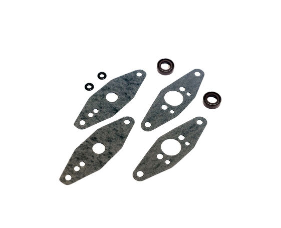 Комплект прокладок RAVE клапана SPI Arctic Cat 09-719103