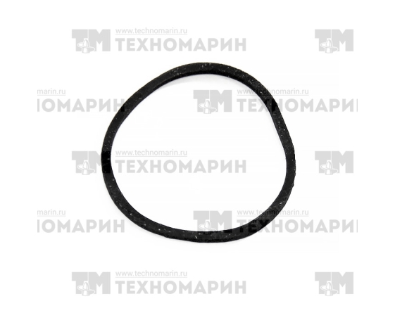 Уплотнительное кольцо впускного коллектора BRP S410089010001 Athena
