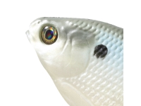 item_img