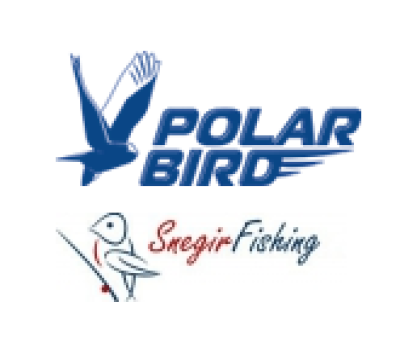 Polar Bird