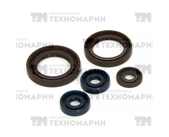 Комплект сальников двигателя BRP P400089400002 Athena