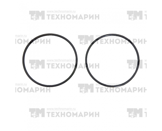 Уплотнительное кольцо впускного коллектора РМЗ 640 (малое) RM-117427 Русская Механика