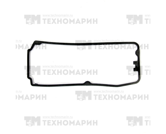 Прокладка клапанной крышки WSM BRP 1503 007-399-06
