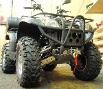 Новогоднее предложение. Квадроцикл Baltmotors PANDA ATV 500 в комплектации PRO-1