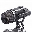 Микрофон GreenBean GB-VM03 (стерео) 21547