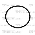 Кольцо уплотнительное WSM BRP 008-599-16