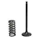 Комплект впускной клапан (центр)/пружина Gas Gas/Yamaha 250/300 см³ XU-19I-19IS Psychic MX Components