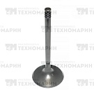 Впускной клапан WSM BRP 1503 010-005 WSM
