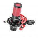 Микрофон GreenBean StudioVoice С34 HPF XLR студийный